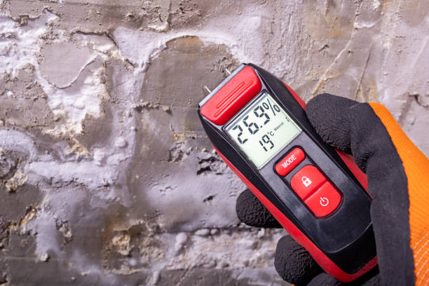 Best Mold Testing  in Point Mackenzie, AK