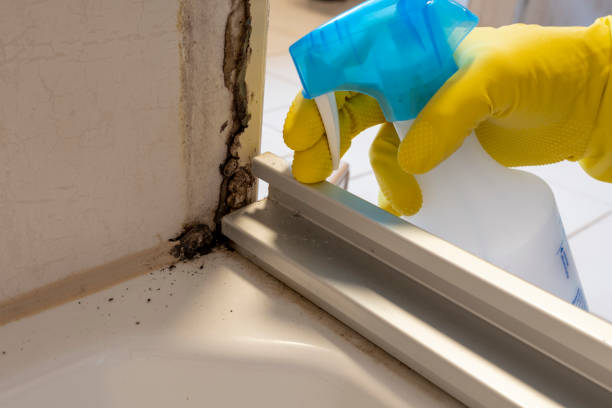 Point Mackenzie, AK Mold Removal Company